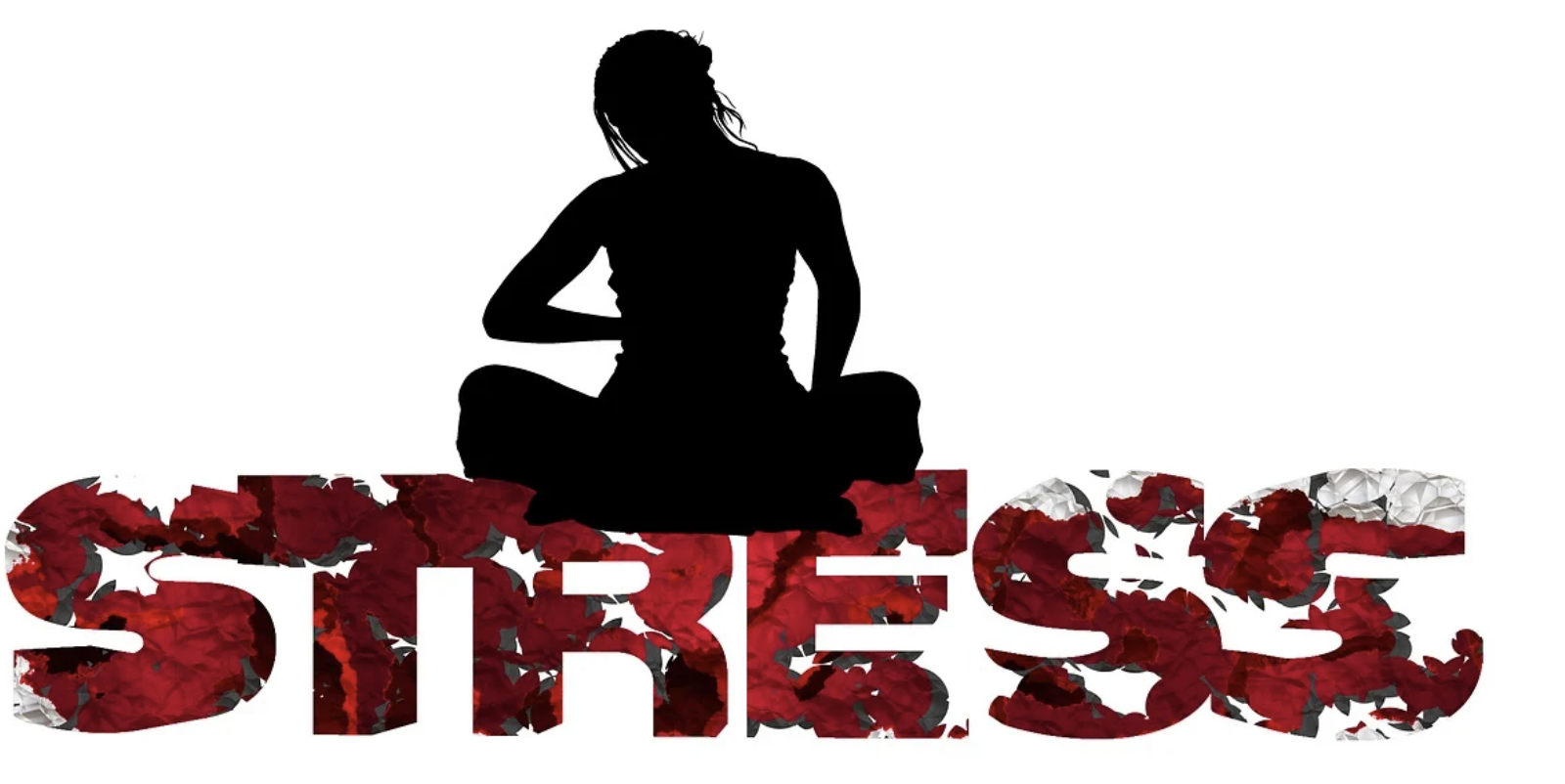 저속노화를 위한 멘탈 관리법