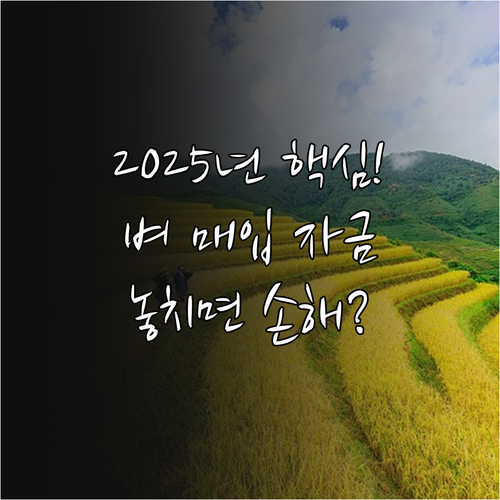 양곡관리법 22조 근거 2025 RP..