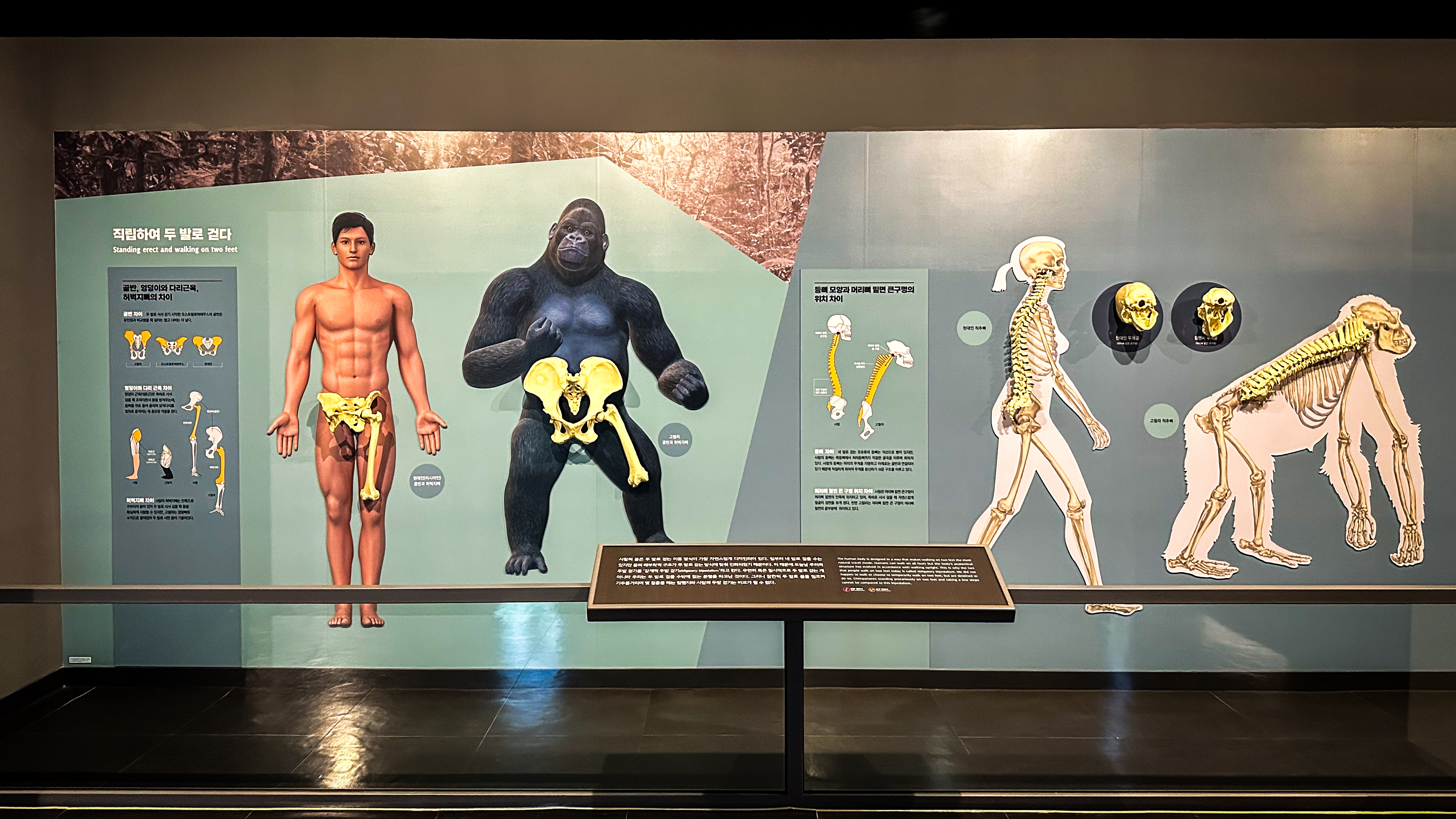 국립 중앙 과학관