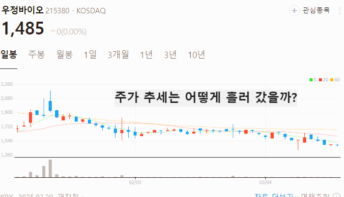 홍역 관련주 대장주 테마주 수혜주 TOP5