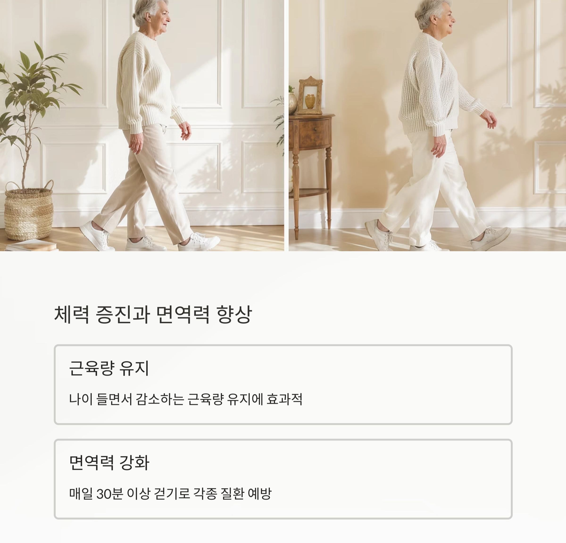 나이 들어도 활기차게! 시니어 걷기 운동의 놀라운 효과