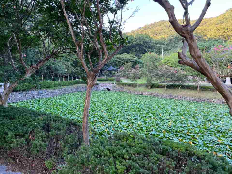 우암사적공원 연못