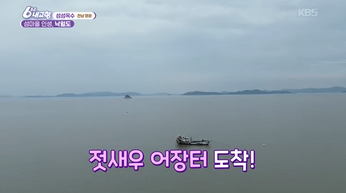 전남 영광 낙월도 젓새우 수석 민박