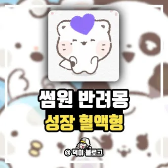 썸원 반려몽 종류별 특징과 성장 시기 쉽게 정리해보기_23