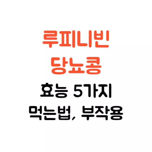 루피니빈 당뇨콩 효능 5가지 먹는법 부작용 알고 드세요