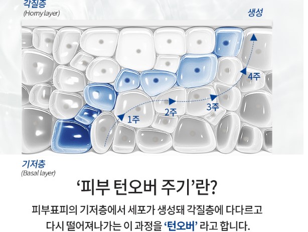 리틀 머메이드 디스 이즈 프린세스 마린토너 수부지피부 추천 