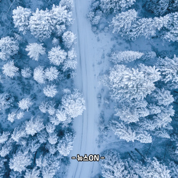 1월에 가볼만한 국내 여행지