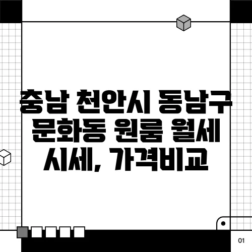 충남 천안시 동남구 문화동 원룸 월세 시세, 가격비교