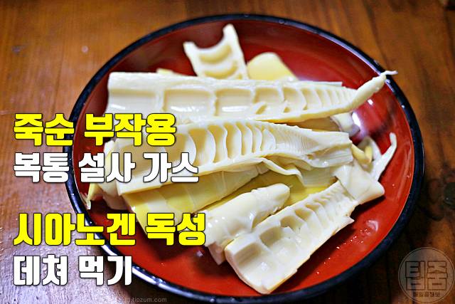 죽순 효능 죽순부작용 죽순영양성분 시아노겐 독성