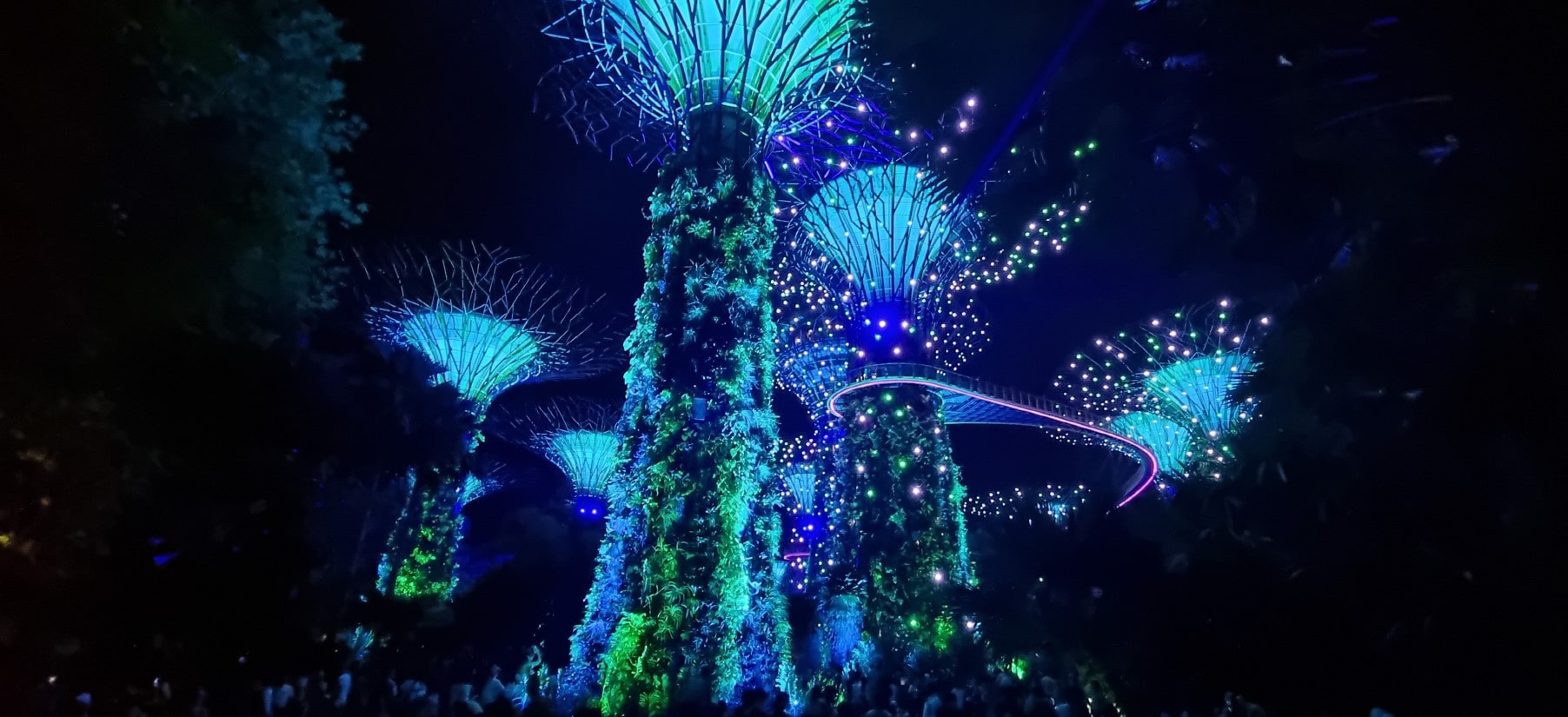 가든스 바이 더 베이 슈퍼 트리 쇼