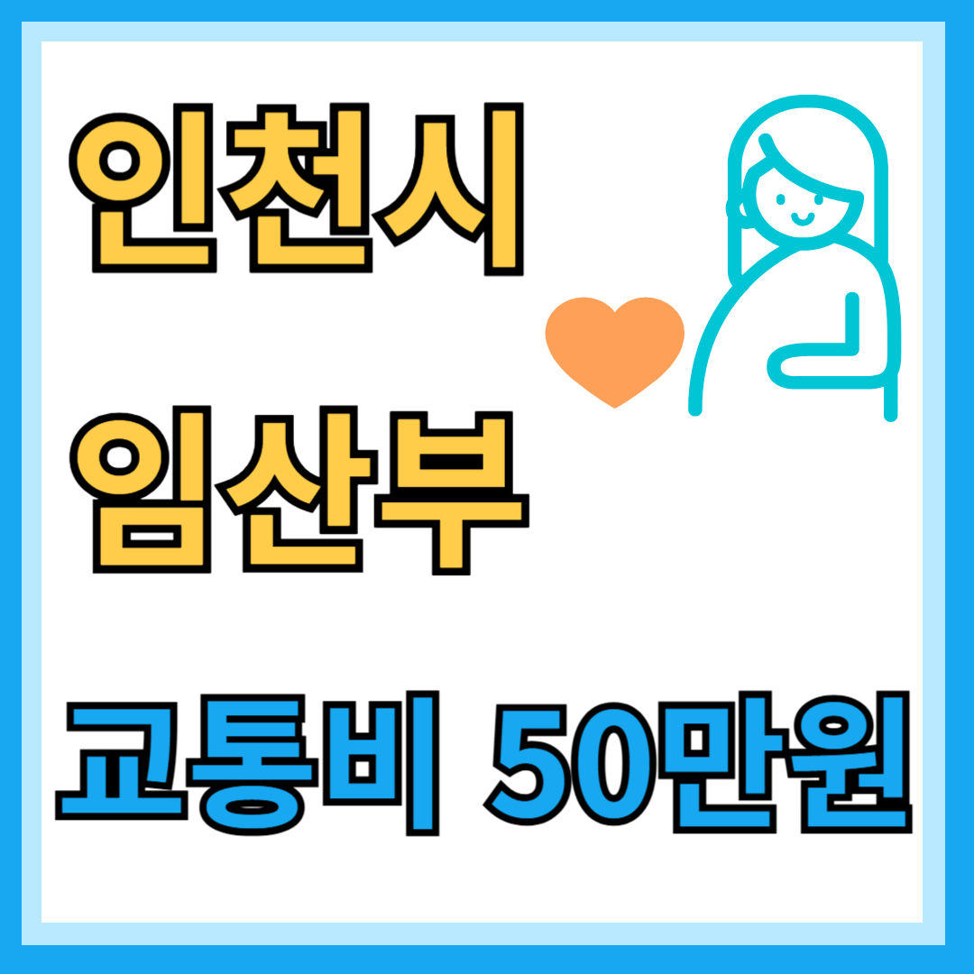 인천시 임산부 정부지원