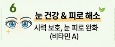 머위 효능