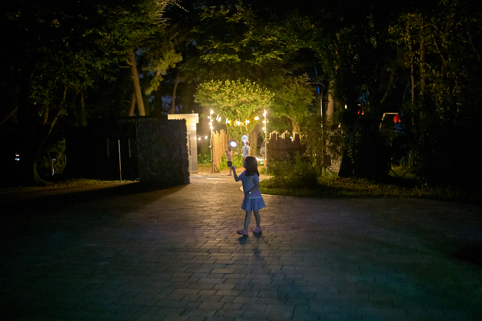 숲 속 출구 Forest Exit