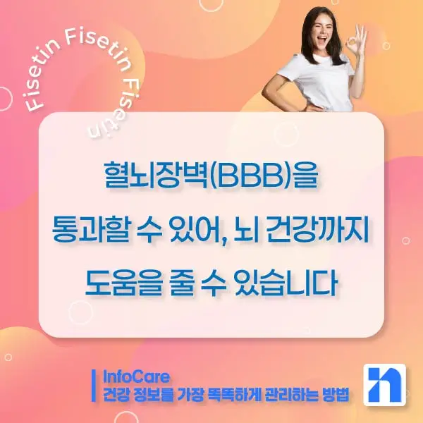 피세틴 효능 복용법