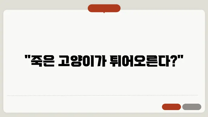 데드캣 바운스 현상