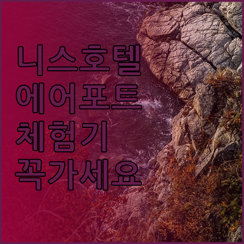 니스 에어포트 호텔 체험기 알고 나면