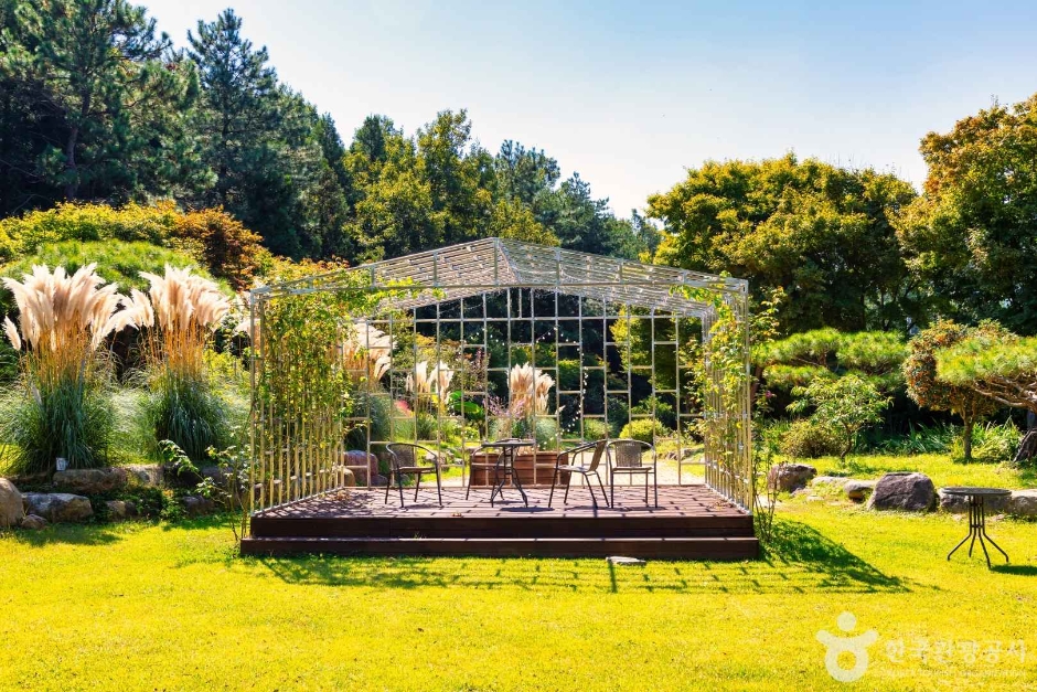 장흥 하늘빛수목원