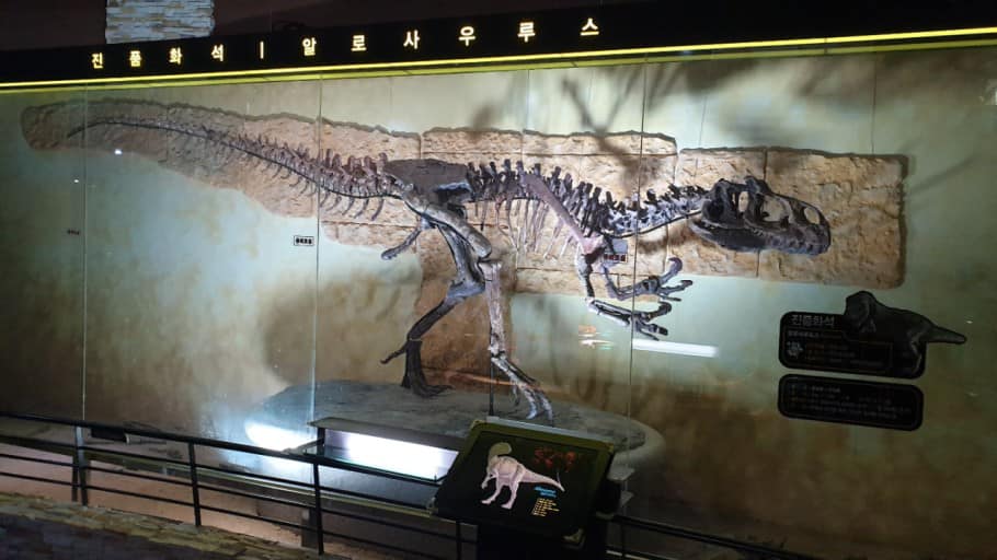  2024 해남 공룡대축제 특징