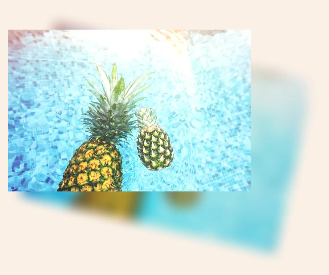 파인애플 효소_1_subsection