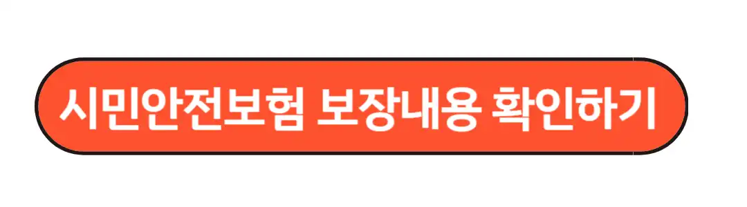보장내용