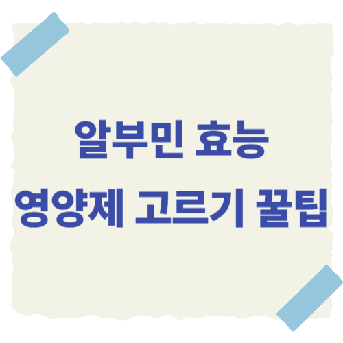 알부민-효능-썸네일