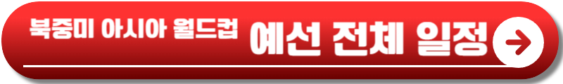 한국 팔레스타인 축구