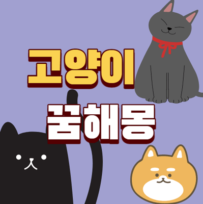 고양이꿈해몽