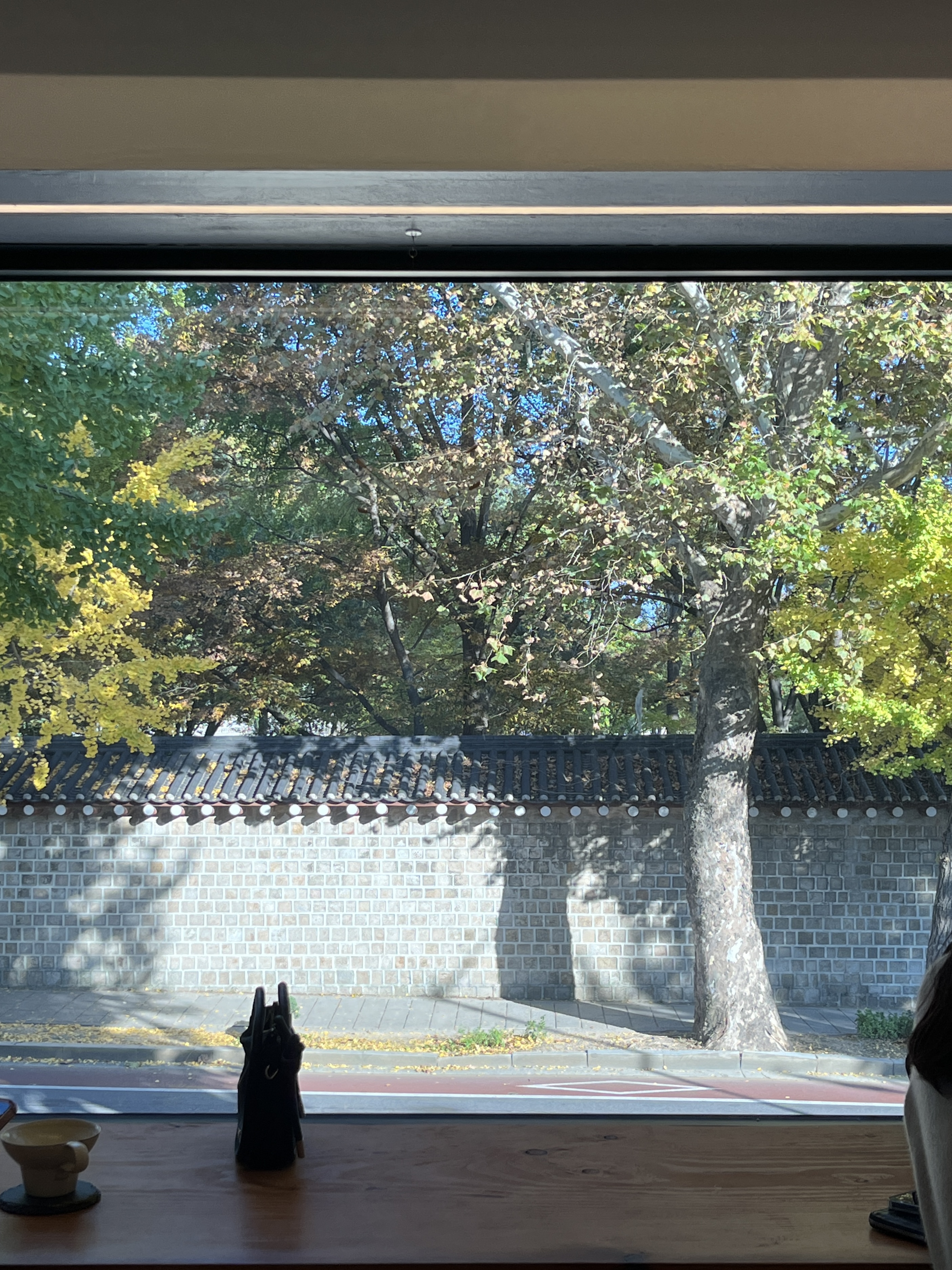 경복궁 단풍