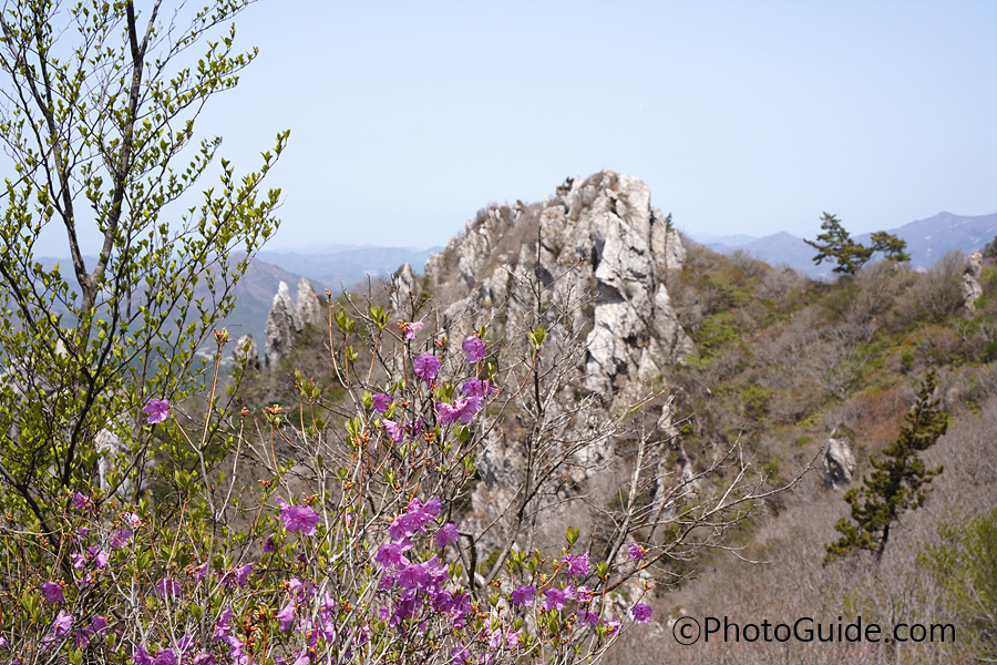 해남달마산도솔암