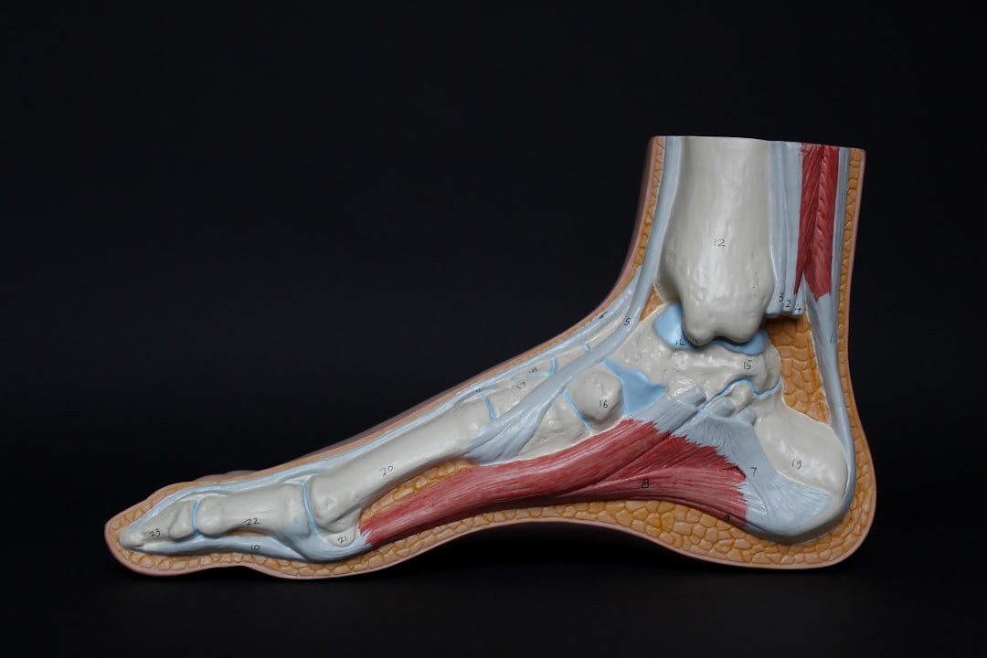 Orthopedic