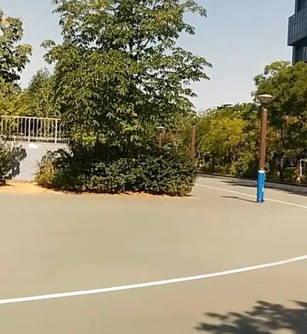 2025 서울숲 튤립 구경 가이드 관련사진