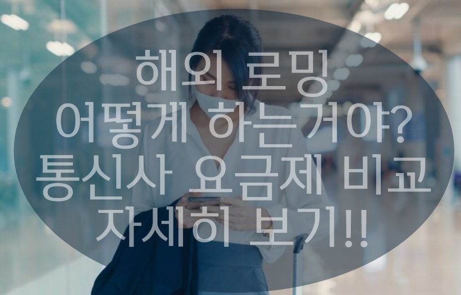 해외 로밍방법