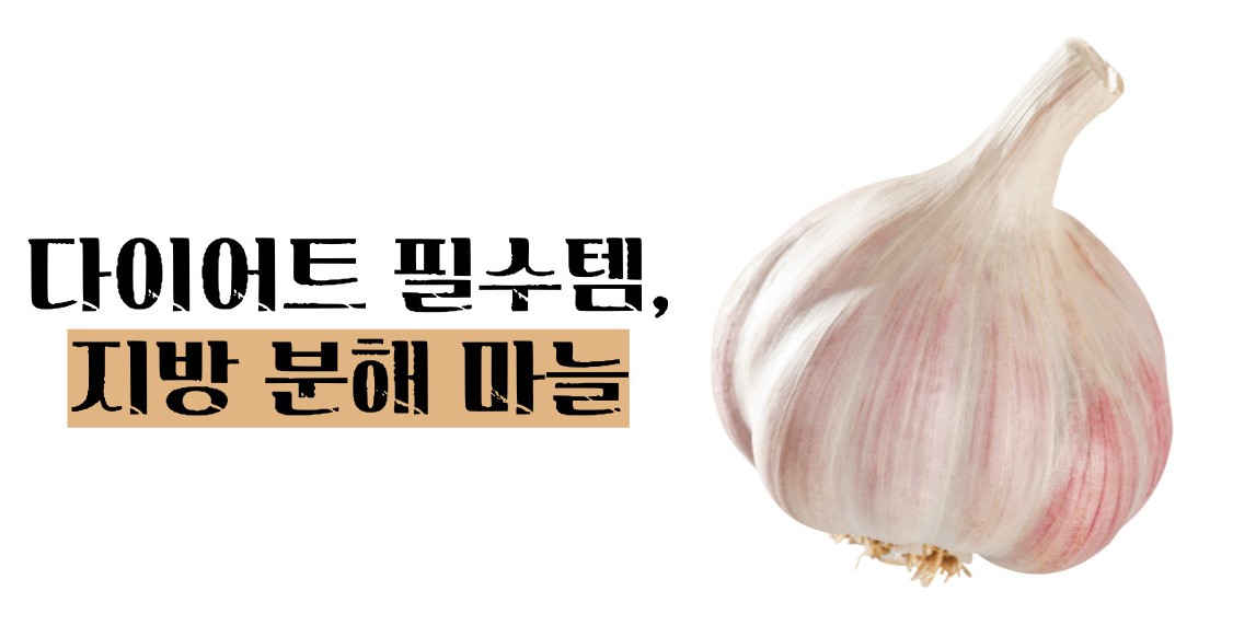 마늘 효능