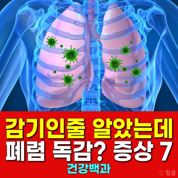 감기 폐렴 독감 기관지염 결핵 증상