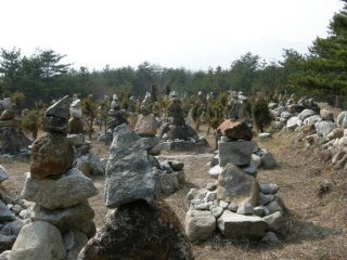 제주도 지진 역사