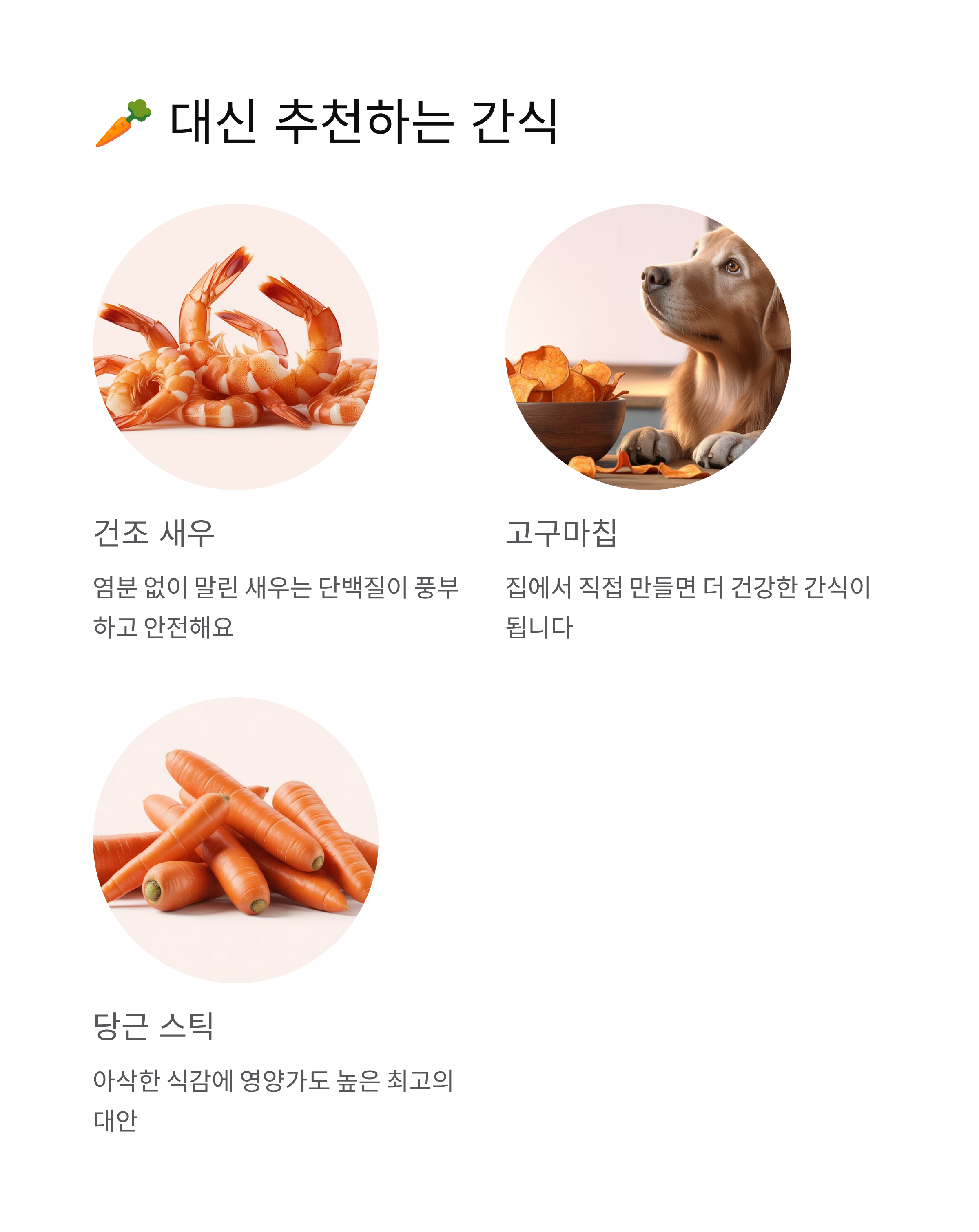 강아지 새우깡 먹어도 될까? 꼭 알아야 할 5가지 진실
