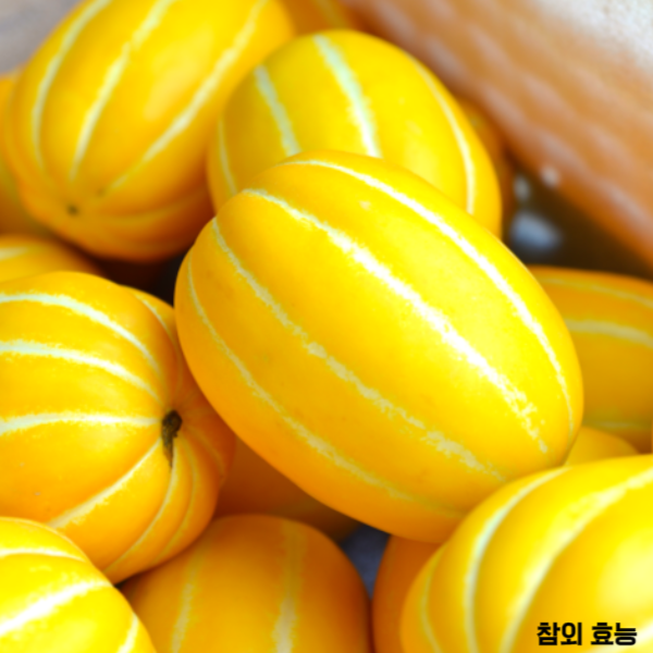 참외 효능 : 참외 효능 알고 드세요!