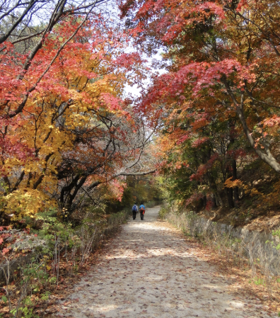 단풍이 양쪽으로 난 북한산 초입길