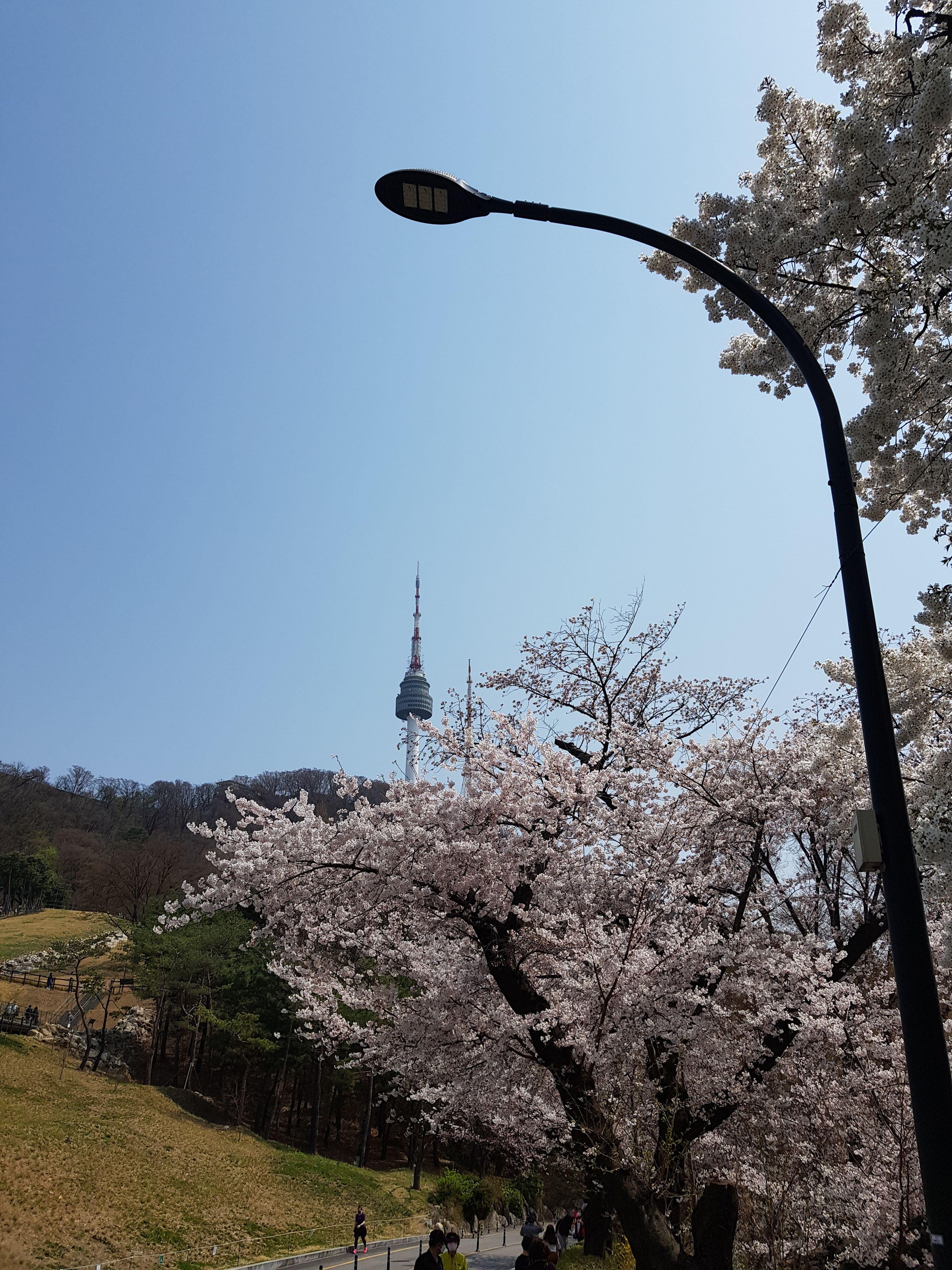 산 아래에서 바라다 보는 남산의 풍경