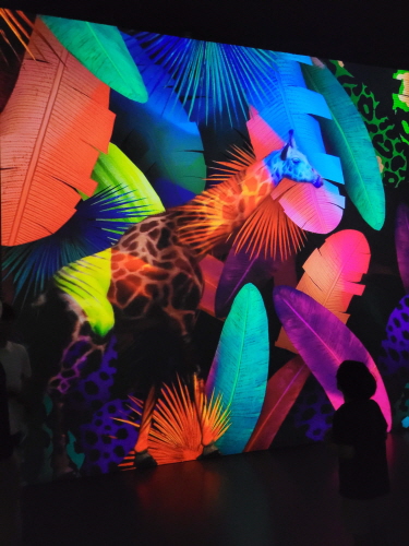 아르떼뮤지엄제주