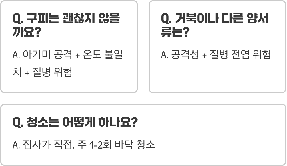 우파루파 분양, 합사 가능한 생물 vs 절대 안 되는 생물