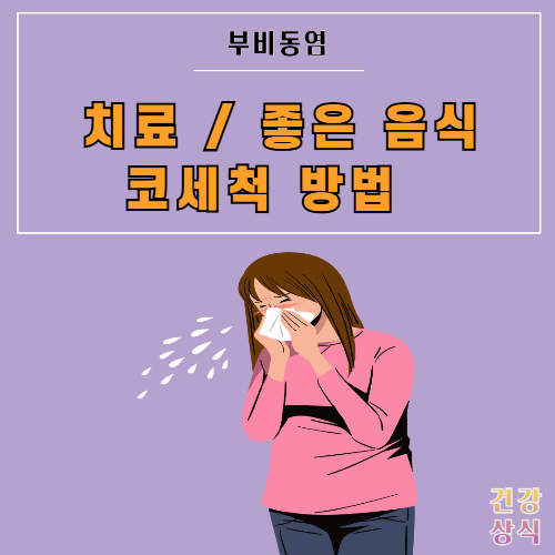 부비동염 치료 좋은 음식 코세척 방법