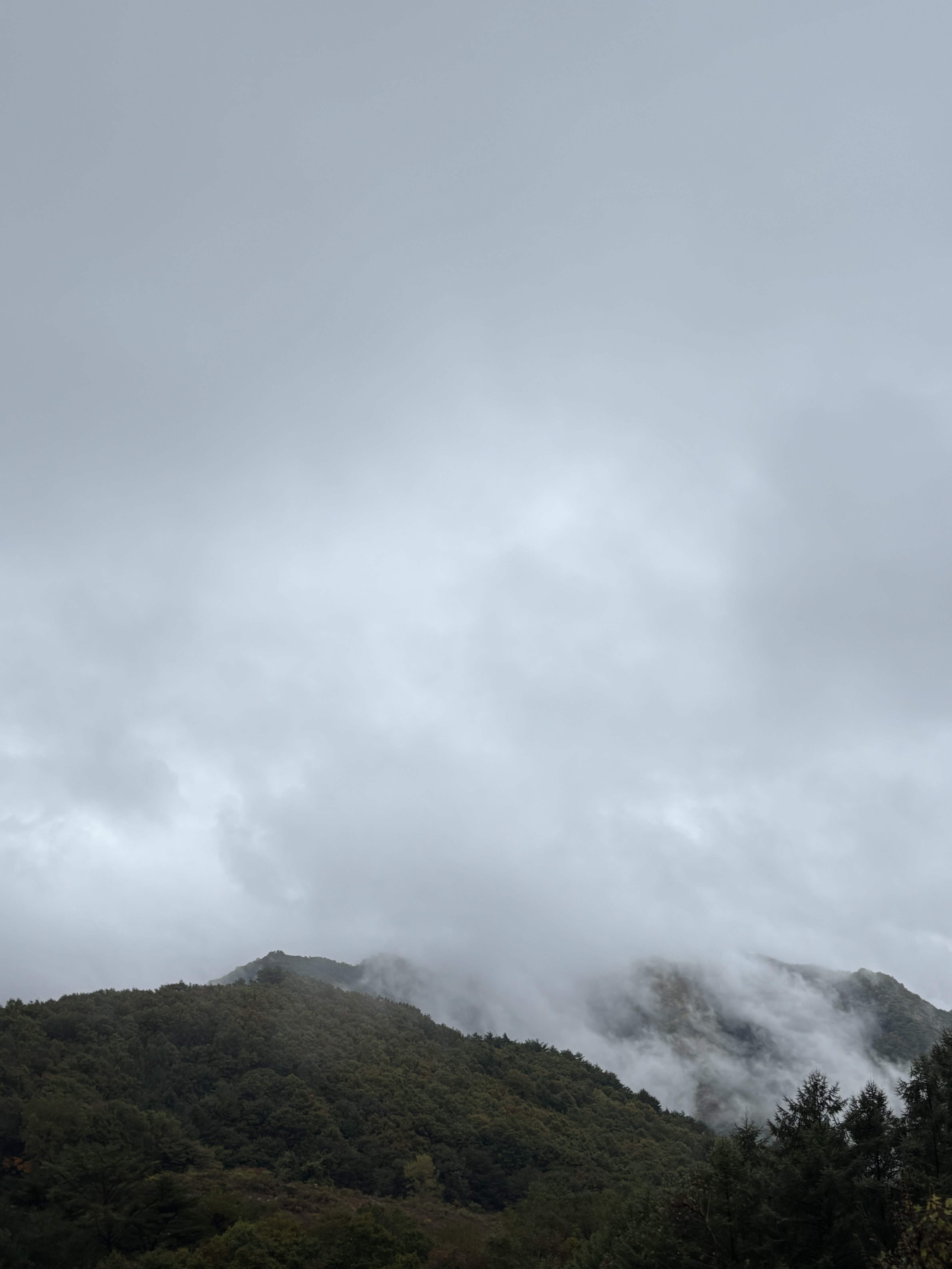 민둥산