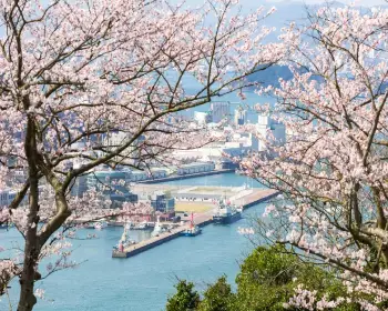 후쿠오카 날씨 예보25