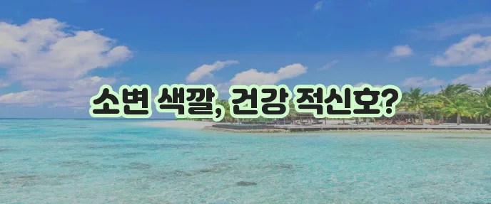 소변 색깔로 건강 상태를 확인해봐야 합니다!