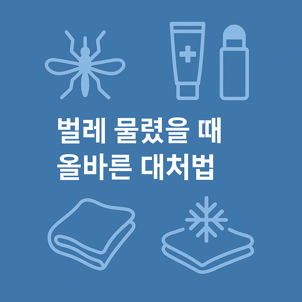 물파스만 바르지 마세요! 벌레 물렸을 때 올바른 대처법🐞