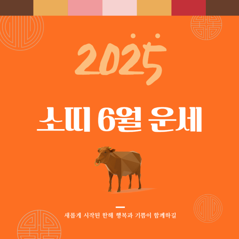 2025년 을사년 『소띠』 6월 운세 썸네일