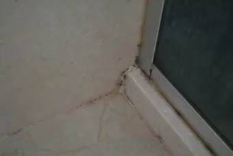 욕실 곰팡이 락스 희석비율과 안전수칙 환기방법_15