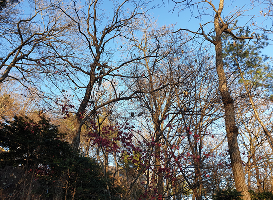 철원 고석정- 철원 9경