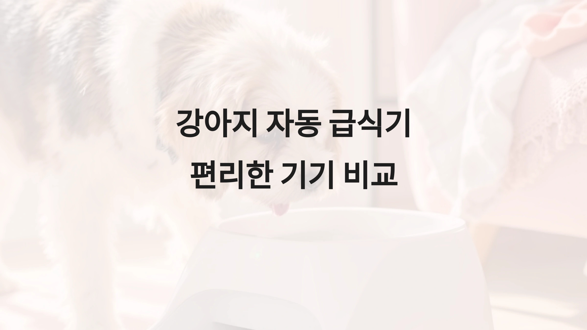 강아지 자동 급식기 추천: 편리한 기기 비교